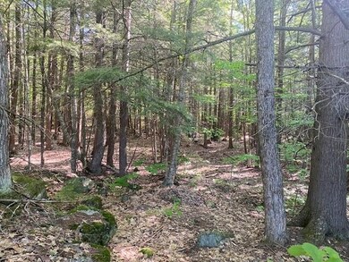 0 Baldwin Ave unit 7 4911642, New Hampton, NH 03256 - photo 5