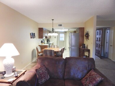 Living  Kitchen