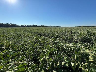 1043 Wacaser Corner Rd, Colquitt, GA 39837 - photo 4