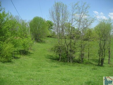 1415 Baxter Ridge Rd, Lawrenceburg, KY 40342 - photo 2