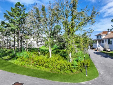 1003 Basin Ln, Johns Island, SC 29455 - photo 5