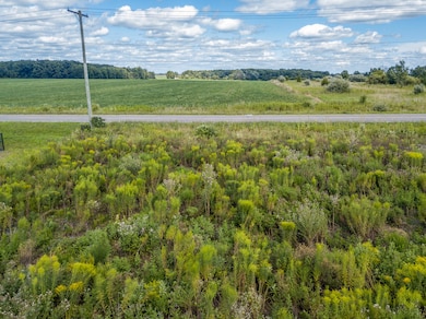 0 N Willowbrook Rd unit 24042121, Coldwater, MI 49036 - photo 7