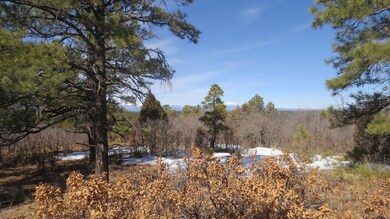 IMG_4713