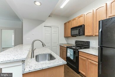 12150 Penderview Terrace unit 1328, Fairfax, VA 22033 - photo 4