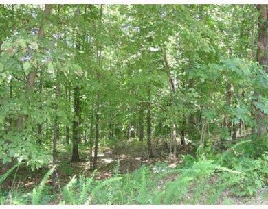 0 Ilford (Lot 23) Ln unit 549726, Bella Vista, AR 72714 - photo 4