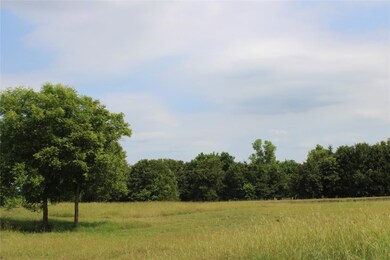 unlisted-address, Boyd, TX 76023 - photo 5