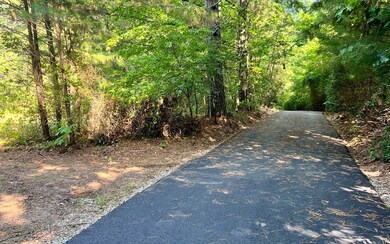 Additional View