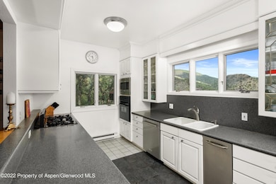 540 Upper Ranch Rd, Aspen, CO 81611 - photo 4