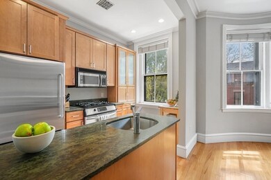 9 Upton St unit 2, Boston, MA 02118 - photo 3