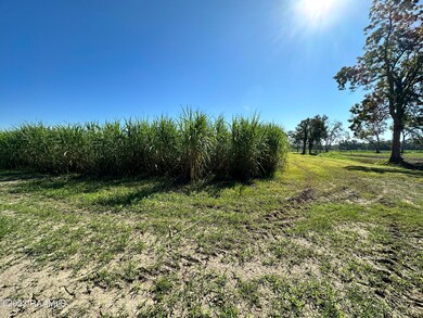 0 N Barn Rd unit 23008960, Breaux Bridge, LA 70517 - photo 3