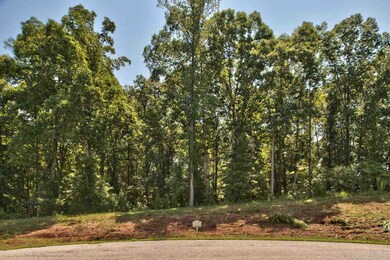 1201 Waterstone Dr, Madison, GA 30650 - photo 3