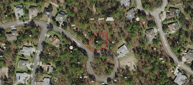 9 Primula Ct E, Homosassa, FL 34446 - photo 2