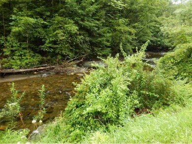 00` Willow Brook Rd, Plainfield, NH 03781 - photo 4