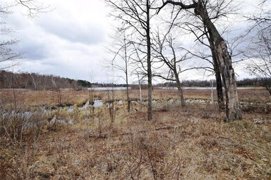 28402 King Arthur's Ct, Danbury, WI 54830 - photo 2