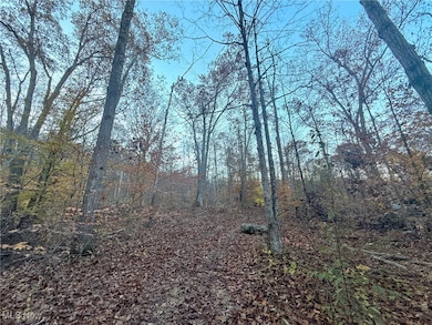 0 W Deaver Rd, McConnelsvle, OH 43756 - photo 4