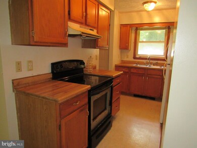 3404 Middle Cove Rd, Mathias, WV 26812 - photo 7