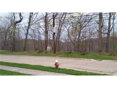 Metro Parks View