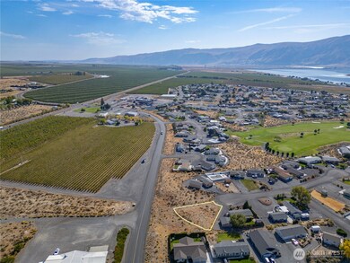 310 Buttercup Ln SW, Mattawa, WA 99349 - photo 5