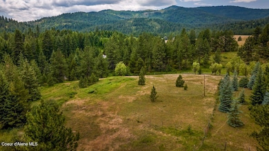 DJI_20250622121638_0605_D-HDR
