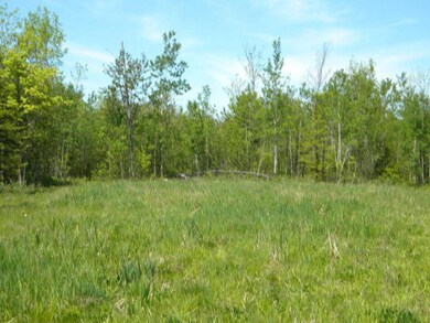 Field