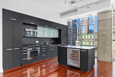 unlisted-address, Chicago, IL 60611 - photo 5