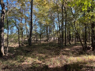 196 Deer Valley Cir, Broken Bow, OK 74278 - photo 7