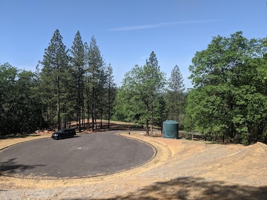 2 Eden Forest Dr, Colfax, CA 95713 - photo 3