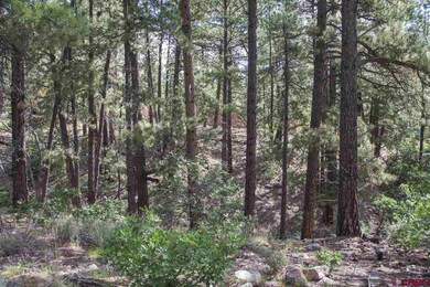 0 Calico Trail unit 702766, Durango, CO 81301 - photo 2