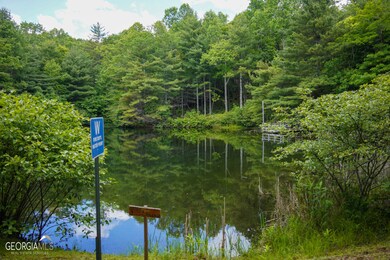 0 Rainbow Lake Dr unit 38B 10472232, Dillard, GA 30537 - photo 2