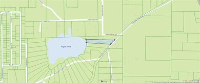 Lot 24 Friendship Church Rd, Crawfordville, FL 32327 - photo 3