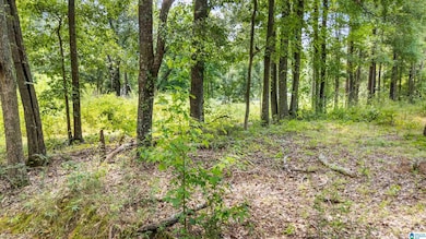 Lot 7 Hebb Rd unit 7, Wilsonville, AL 35186 - photo 2