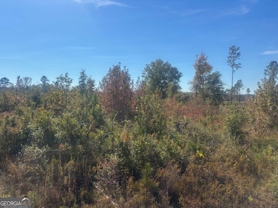 0 Jd Williams Rd, Cadwell, GA 31009 - photo 5