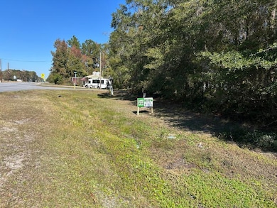 1700 Camden Ave, Woodbine, GA 31569 - photo 3