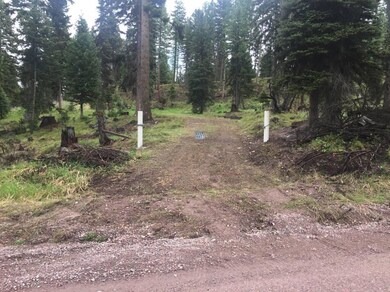 934 Montana Dr, Seeley Lake, MT 59868 - photo 2