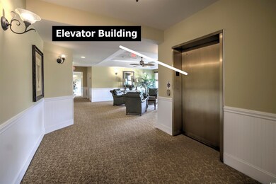 Hall featuring a wainscoted wall, carpet flooring, elevator, and plenty of natural light