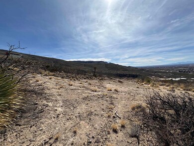 3601 Thunder Rd, Alamogordo, NM 88310 - photo 6