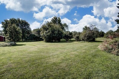 Rear Yard View