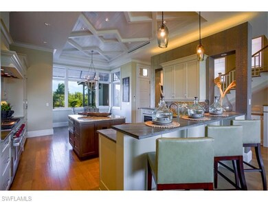 Gourmet chef's kitchen