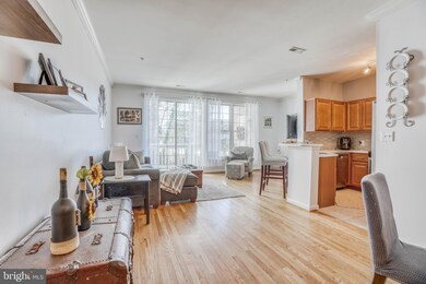 502 Mathias Hammond Way unit 204, Annapolis, MD 21401 - photo 7