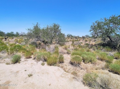 13471 Bruckner Ave unit 416, Tucson, AZ 85736 - photo 5