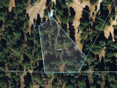 Approx Google Earth Outline