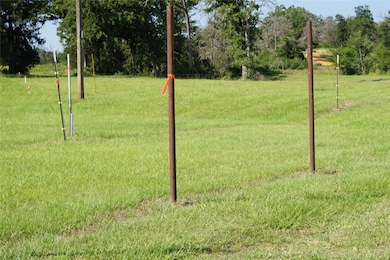 View of grassy yard