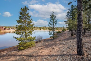 Backs to Water Pond