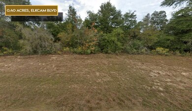 0 Elkcam Blvd unit 25734138, Chipley, FL 32428 - photo 3