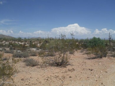 Landscape 3