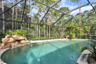 Pool with Stone waterfall