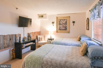 14300 Jarvis Ave unit 201A, Ocean City, MD 21842 - photo 4