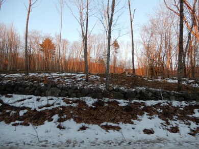 00 Tripptown, Hiram, ME 04041 - photo 3