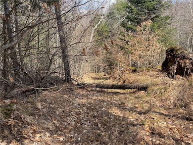 Trail down to creek