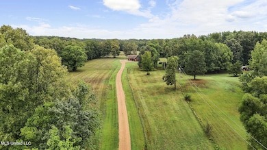 5450 Dean Rd, Lake Cormorant, MS 38641 - photo 6